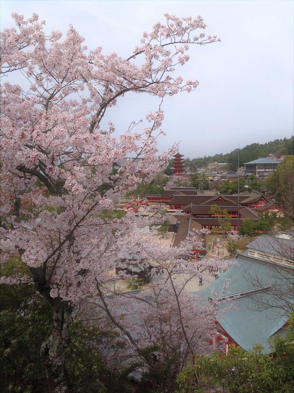 주케이소 호텔 하쓰카이치 외부 사진